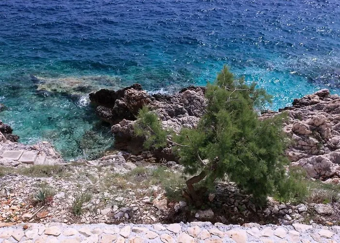 Robinson Emanuela * Potomje